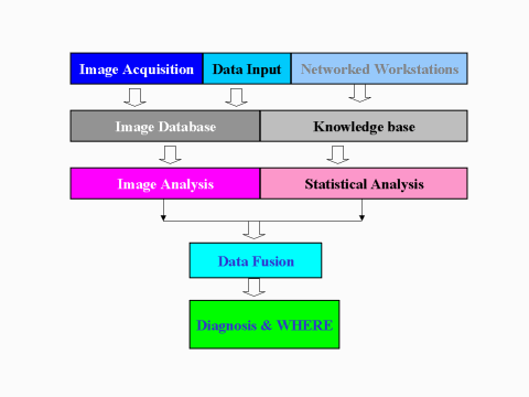 Lifelinger Processing (9662 bytes)
